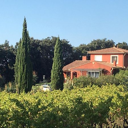 Domaine Des Lavarines Morieres-les-Avignon Exterior photo